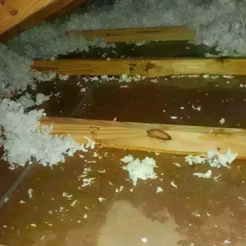 Attic Water Damage in Lexington, GA