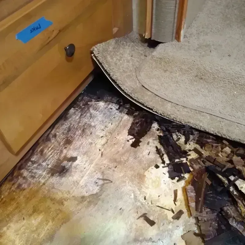 Wood Floor Water Damage in Lexington, GA